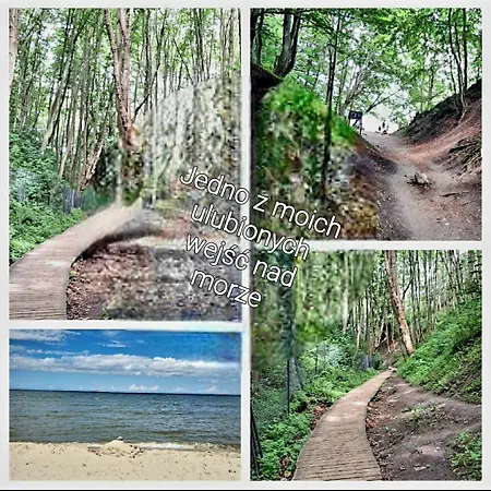 Zielone Wybrzeze 別荘 *