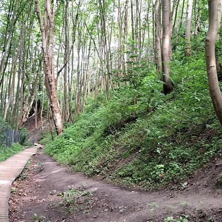 Zielone Wybrzeze Mieroszyno