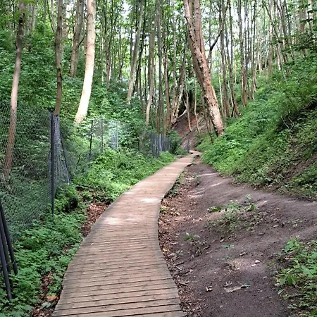 Zielone Wybrzeze Mieroszyno