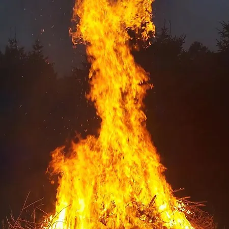 Zielone Wybrzeze
