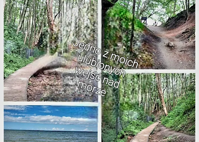 Zielone Wybrzeze Ferienhaus *