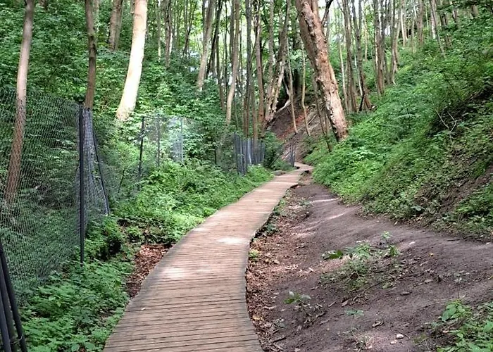 Zielone Wybrzeze Mieroszyno