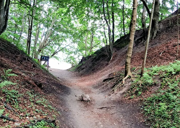 Zielone Wybrzeze Ferienhaus